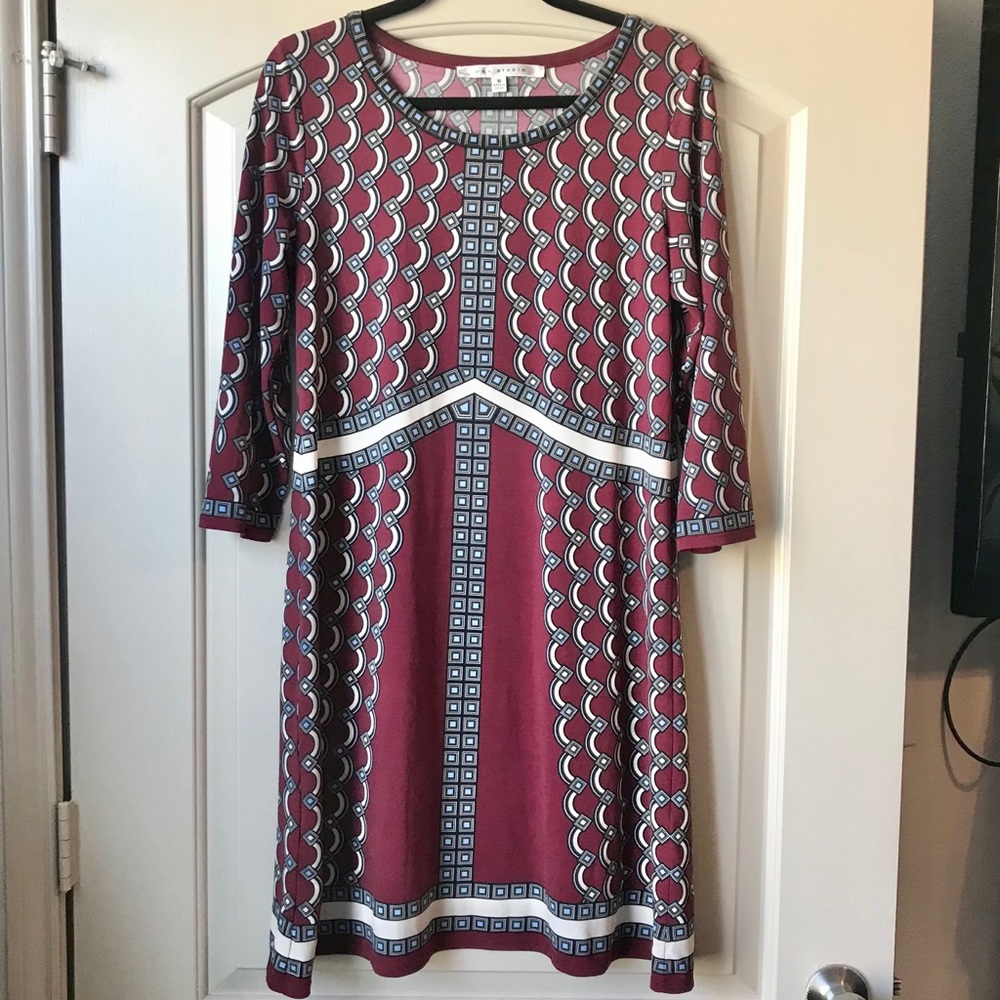Max Sudio A-Line dress